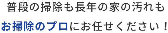 普段の掃除も長年の家の汚れも お掃除のプロにお任せください！