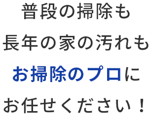 普段の掃除も長年の家の汚れも お掃除のプロにお任せください！